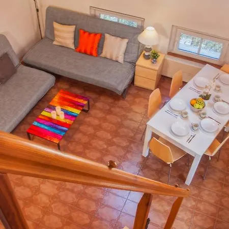 Apartament - In 01